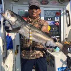 シーモンキー 釣果