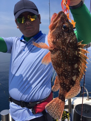 シーモンキー 釣果