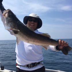 シーモンキー 釣果