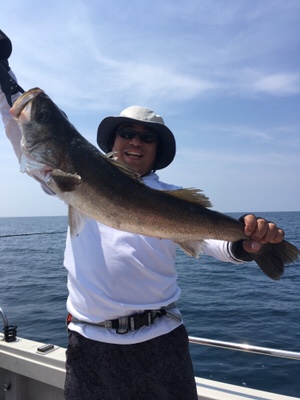 シーモンキー 釣果