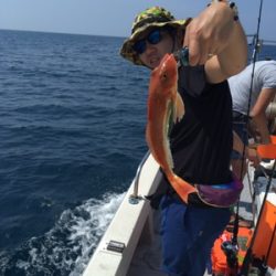 シーモンキー 釣果