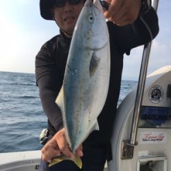 シーモンキー 釣果