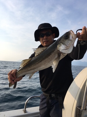 シーモンキー 釣果