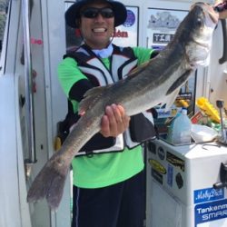 シーモンキー 釣果