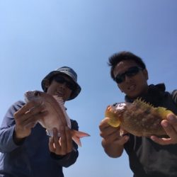 シーモンキー 釣果