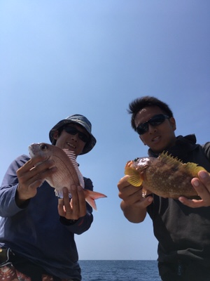 シーモンキー 釣果