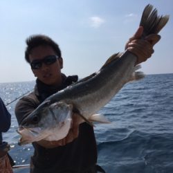 シーモンキー 釣果