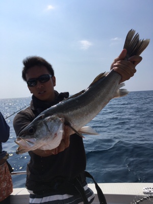 シーモンキー 釣果