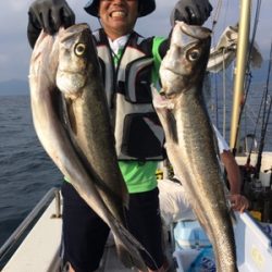 シーモンキー 釣果