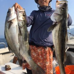 シーモンキー 釣果