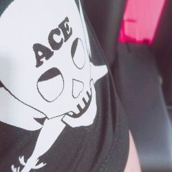 フィッシングボートACE(エース) 釣果