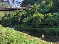 秩父フライフィールド 釣果