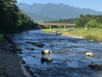 秩父フライフィールド 釣果