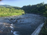 秩父フライフィールド 釣果