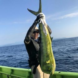 かねい丸 釣果