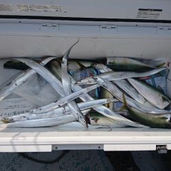 第二明康丸 釣果