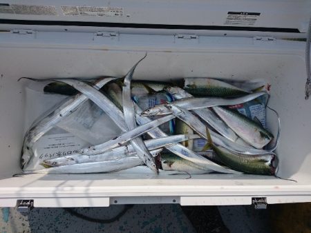 第二明康丸 釣果