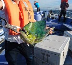 丸伊丸 釣果