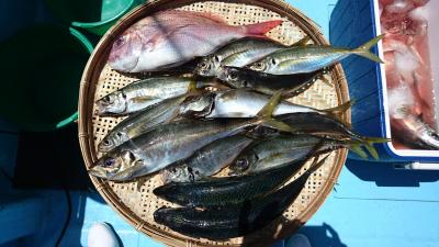 はじめ丸 釣果
