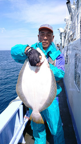 小樽港遊漁船ＳＨＡＫＥ 釣果