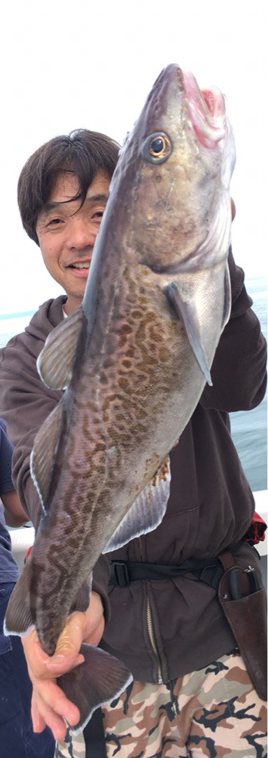 エヌスタイル 釣果