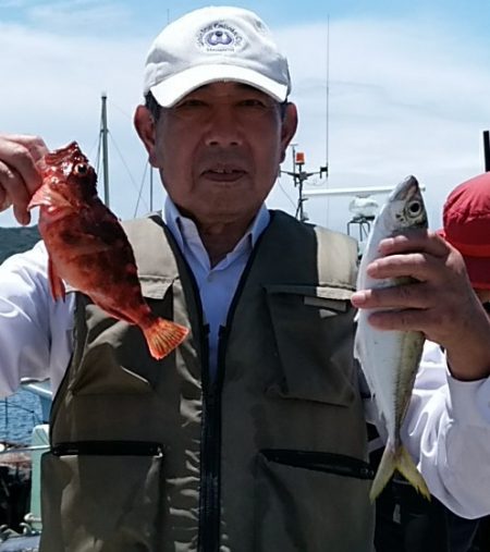 小島丸 釣果