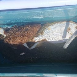 小樽港遊漁船SHAKE 釣果