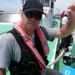 金沢八景鴨下丸 釣果