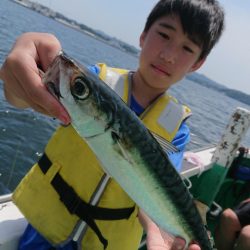 金沢八景鴨下丸 釣果