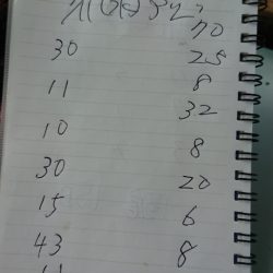 金沢八景鴨下丸 釣果