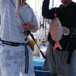 タイラバ遊漁船 ワンピース 釣果