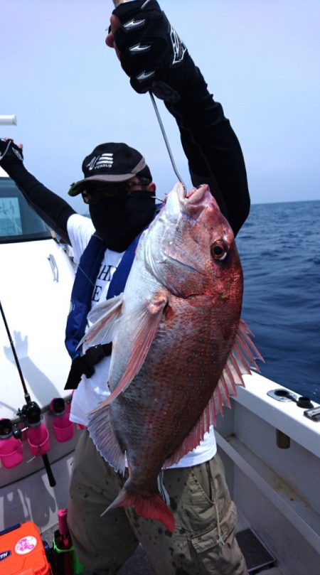 ARCADIAⅡ (アルカディアⅡ) 釣果