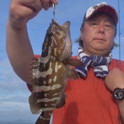 渡船屋たにぐち 釣果