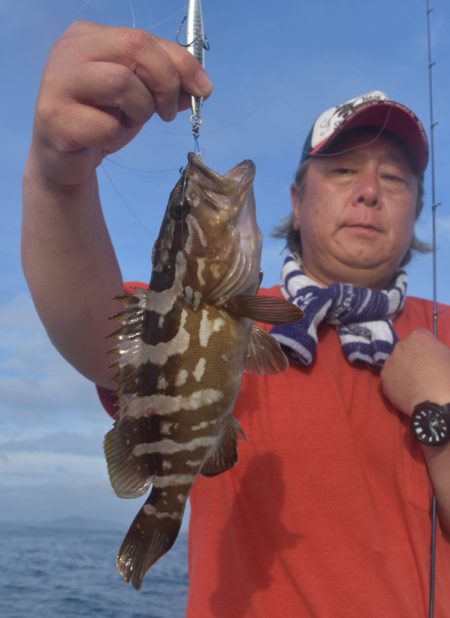渡船屋たにぐち 釣果
