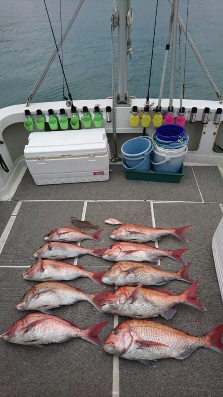 ARCADIAⅡ (アルカディアⅡ) 釣果