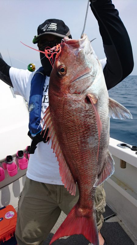 ARCADIAⅡ (アルカディアⅡ) 釣果