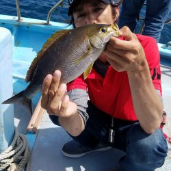 みやけ丸 釣果