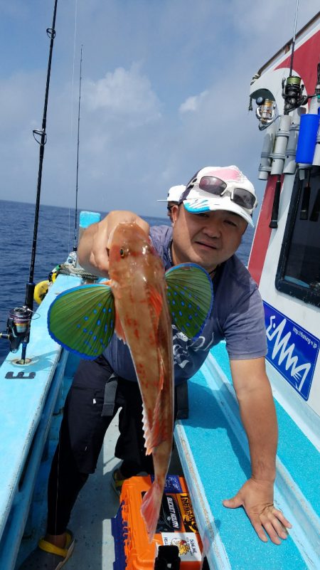 みやけ丸 釣果