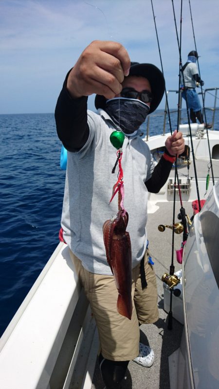 ARCADIAⅡ (アルカディアⅡ) 釣果