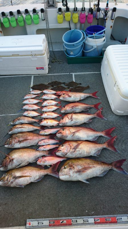 ARCADIAⅡ (アルカディアⅡ) 釣果