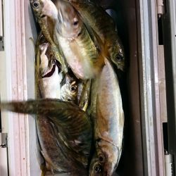 海龍丸（石川） 釣果