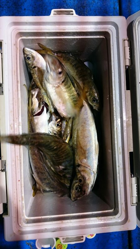 海龍丸（石川） 釣果