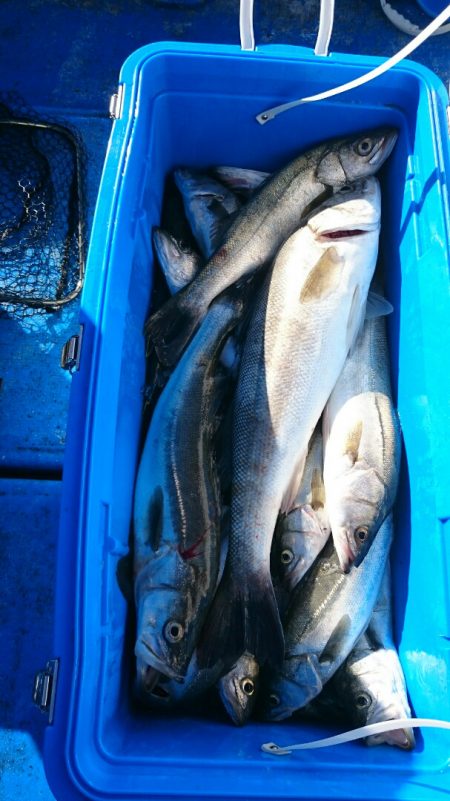 海龍丸（石川） 釣果