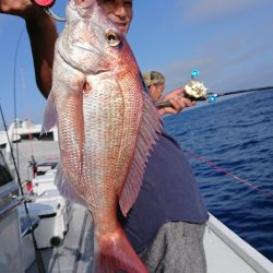 だて丸 釣果