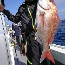 だて丸 釣果