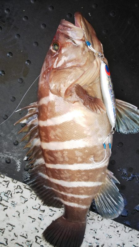 第二龍勢丸 釣果