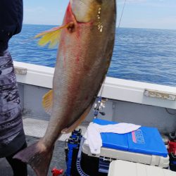 第二龍勢丸 釣果