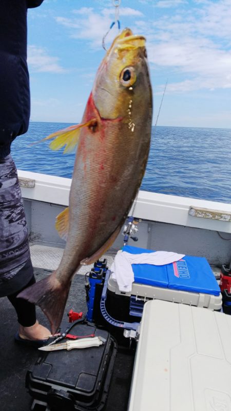 第二龍勢丸 釣果