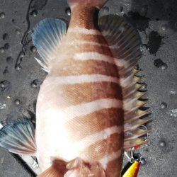 第二龍勢丸 釣果