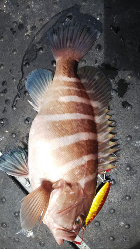 第二龍勢丸 釣果